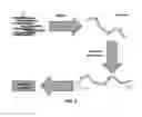 Fig. 03 - MODIFIED NUCLEIC ACIDS FOR NANOPORE ANALYSIS