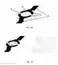 Fig. 02 - Device and Method for Detecting the Deposition of a Biological Liquid Sample on a Substrate
