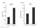 Fig. 05 - Cell-based assay for determining mTOR activity