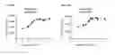 Fig. 07 - Cell-based assay for determining mTOR activity