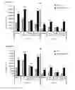 Fig. 16 - Cell-based assay for determining mTOR activity