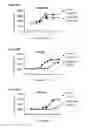 Fig. 22 - Cell-based assay for determining mTOR activity