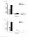 Fig. 25 - Cell-based assay for determining mTOR activity