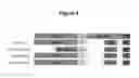 Fig. 07 - CELLULAR EXPRESSION MODEL OF TAU AGGREGATION