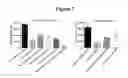 Fig. 08 - CELLULAR EXPRESSION MODEL OF TAU AGGREGATION