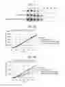 Fig. 04 - Protein degradation inducing tag and usage thereof