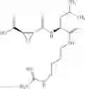 Fig. 136 - Protein degradation inducing tag and usage thereof