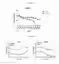 Fig. 08 - Methods of determining interferon having direct inhibitory effects on tumors and uses thereof
