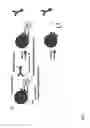 Fig. 02 - Reversible cell labelling with conjugates having two releasable binding sites