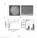 Fig. 02 - Immune cell trapping devices and methods for making and using the same