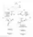 Fig. 01 - Extended range immunoassay devices with immunosensor and magnetic immunosensor