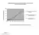 Fig. 04 - DEVICE AND METHOD FOR IMMUNOCHROMATOGRAPHIC ASSAY