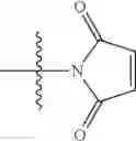 Fig. 29 - Ultra bright dimeric or polymeric dyes with spacing linker groups
