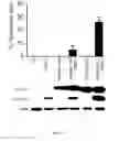 Fig. 05 - Methods for detecting protein-protein interactions