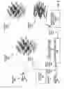 Fig. 06 - Aircraft radar system for bird and bat strike avoidance