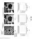 Fig. 52 - Computation devices and artificial neurons based on nanoelectromechanical systems