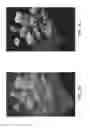 Fig. 06 - Methods and apparatus for three-dimensional (3D) imaging