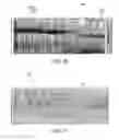 Fig. 07 - Generating pseudo pressure wavefields utilizing a warping attribute
