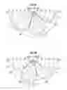 Fig. 06 - Marine vibrator directive source survey