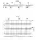 Fig. 09 - Marine vibrator directive source survey