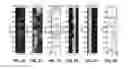 Fig. 13 - Verifying measurements of elastic anisotropy parameters in an anisotropic wellbore environment