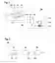 Fig. 02 - Correction of X-ray images