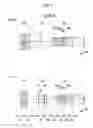 Fig. 04 - Imaging lens having a high maximum imaging magnification and a small F number and imaging apparatus