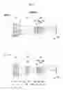 Fig. 05 - Imaging lens having a high maximum imaging magnification and a small F number and imaging apparatus
