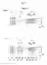 Fig. 08 - Imaging lens having a high maximum imaging magnification and a small F number and imaging apparatus