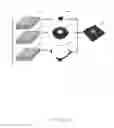 Fig. 23 - Scanning confocal microscope apparatus, scanning control method, and recording medium