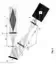 Fig. 06 - ASSEMBLY AND METHOD FOR BEAM SHAPING AND FOR LIGHT SHEET MICROSCOPY