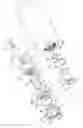 Fig. 05 - Viewing method after cleaning pipeline and viewing apparatus thereof