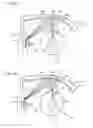Fig. 10 - Image projection device