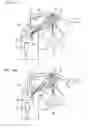 Fig. 15 - Image projection device