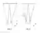 Fig. 04 - Patterning of liquid crystals using soft-imprint replication of surface alignment patterns