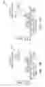 Fig. 13 - Lithography system and lithography method for improving image contrast