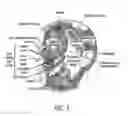 Fig. 04 - Control of a computer via distortions of facial geometry