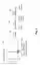Fig. 04 - Audio enhanced simulation of high bandwidth haptic effects