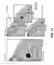 Fig. 14 - DISPLAY WIDGET
