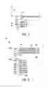Fig. 07 - DISPATCH OF PROCESSOR READ RESULTS