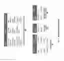 Fig. 09 - Automatic generation of structured queries from natural language input