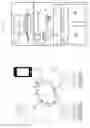 Fig. 02 - Dynamic message categorization for optimized message targeting