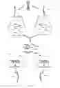 Fig. 24 - Systems and methods for nucleic acid sequence assembly