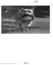 Fig. 01 - Visual-saliency driven scene description