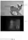 Fig. 07 - Visual-saliency driven scene description