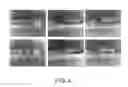 Fig. 04 - All-weather thermal-image pedestrian detection method
