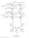Fig. 43 - Three-dimensional neural network array