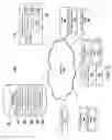 Fig. 04 - SYSTEMS, DEVICES, AND METHODS FOR PROVIDING INTERACTIVE PHARMACY SERVICES