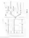 Fig. 06 - BUYER-SELLER INTERFACES AND METHODS FOR DISPARATE NETWORK SYSTEMS