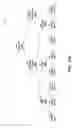 Fig. 17 - ELECTRONIC CARE AND CONTENT CLOTHING LABEL